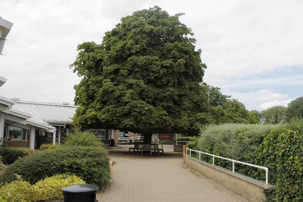 Admissions Kings School